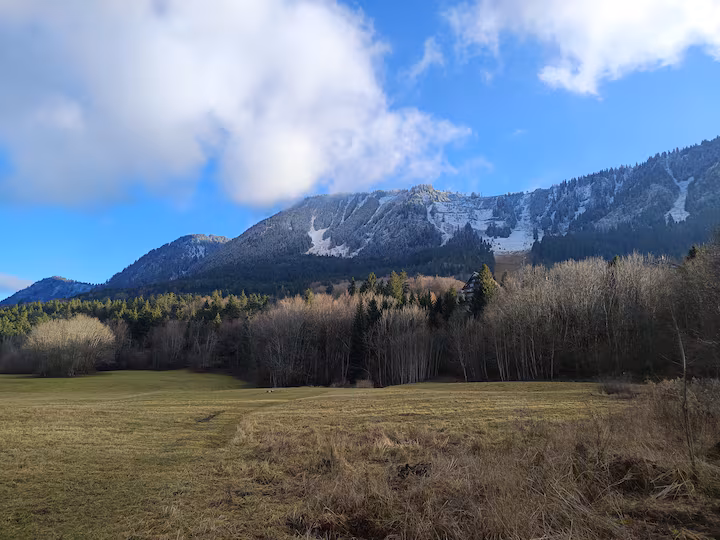 Apartment preview 24