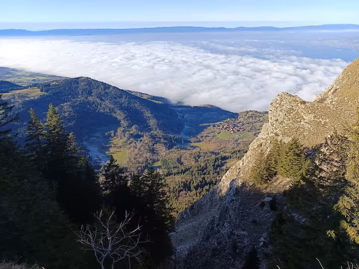 Apartment preview 25