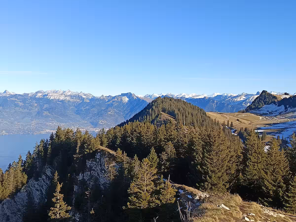 Apartment preview 26